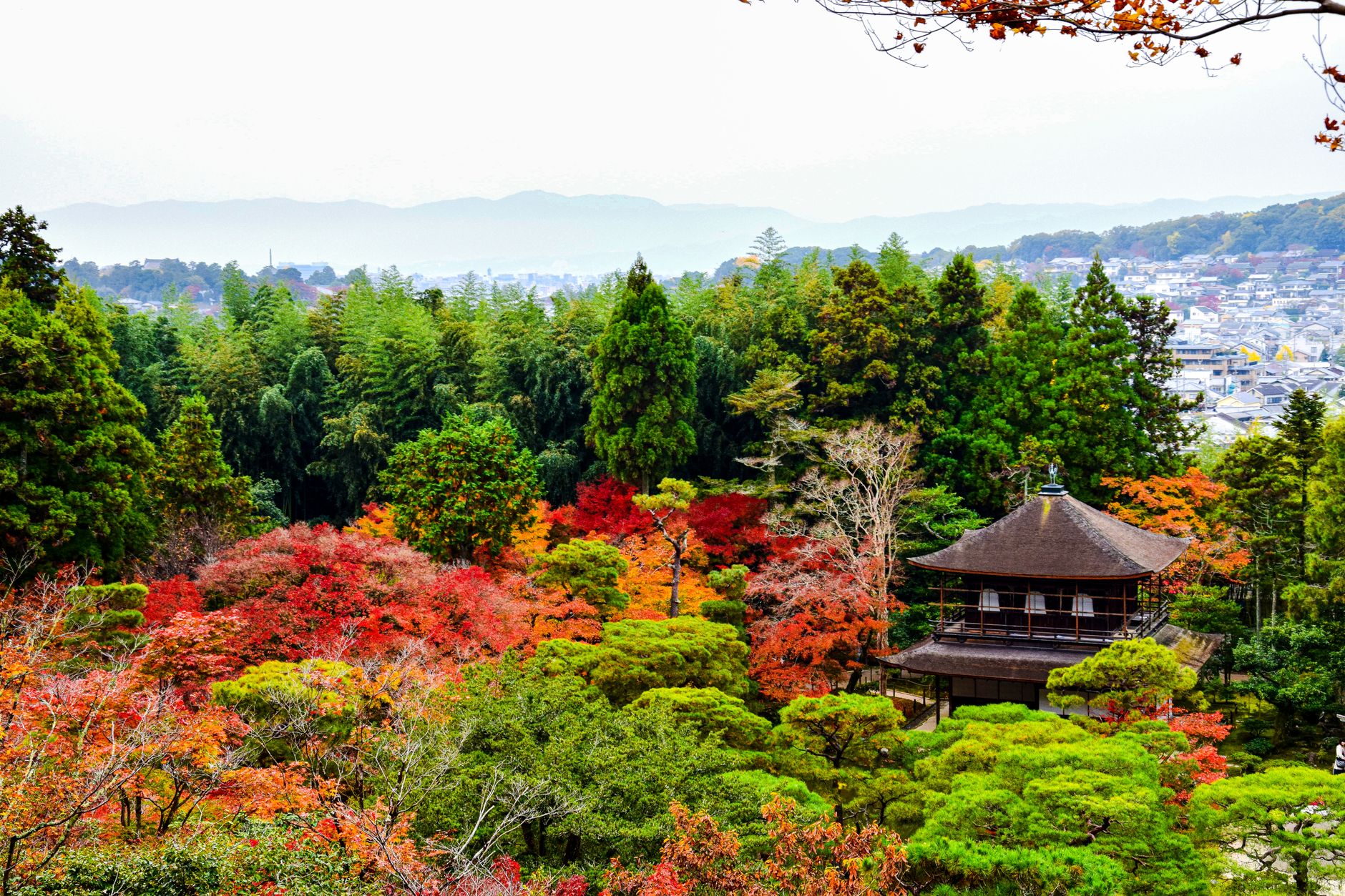 Kyoto Japan Travel